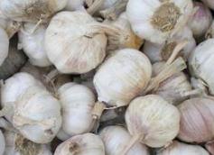 ����Nֲ�ĕr�g������Nֲ����