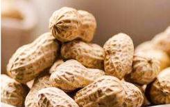 2019�껨���к��ڹ������g(sh��)��Ҋ