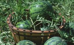 ���ӿ����ж����ϳ��죿���ϳ���ı��F(xi��n)