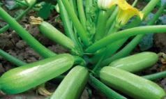 �����J�ڽY������ô�����������J�Y���ڹ�������