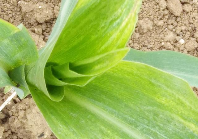 �������ʲô�����F�S�~��һ�����F�S�~ԓ��ô�k��