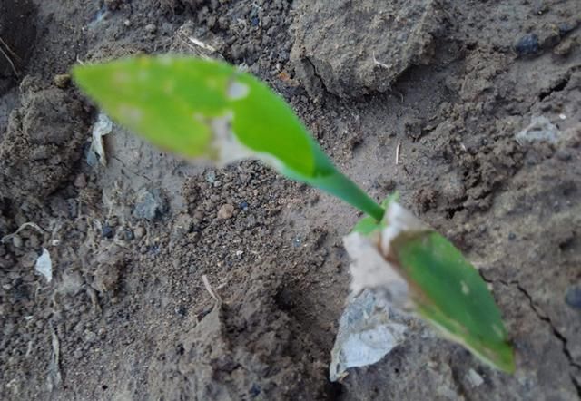 ������l��ˎ����զ�k��