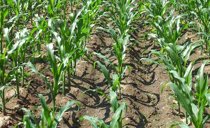 ��������Ν�ˮ�������睲ˮ������