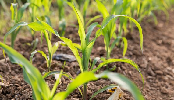 �������ڹ���Ҫ�c(di��n)����Щ��