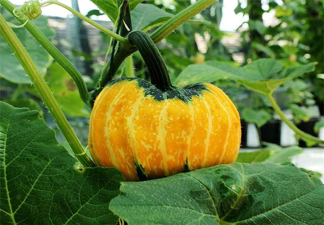 �Ϲ�����ô���L�ɵ������Ďׂ����L�^����