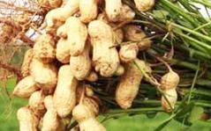 �ļ���������ע���@���c(di��n)�������Y(ji��)����a(ch��n)����