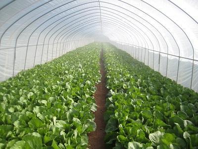 ����ߜ�Σ������Щ���ļ����ｵ����Ч��ʩ��ʲô��