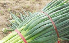 ���[��ô�ܸ߮a(ch��n)�����[�߮a(ch��n)���N���g(sh��)Ҏ(gu��)��