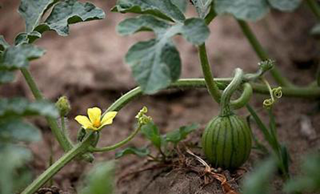 ���Ͼ�����ô�k�����Ͼ����ԭ�򼰷��μ���