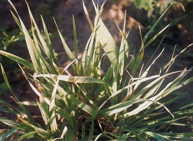 С����������ô�k���ί�С���������@��������