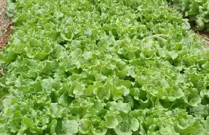 ������ô���ٴ�ѿ�����˴�ѿ�����������