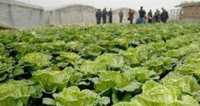 �＾��ηN�ô�ײˣ���Ҫע��ʲô��