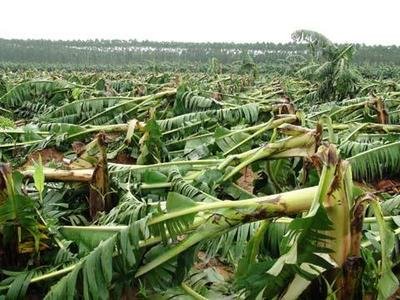 �������R���_�L(f��ng)�^��ӏ��߲����a(ch��n)�������g(sh��)ָ��(d��o)��Ҋ