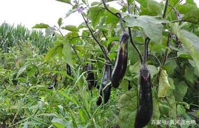 ����ԓ��ԓժ�~������ժ�~��β�����