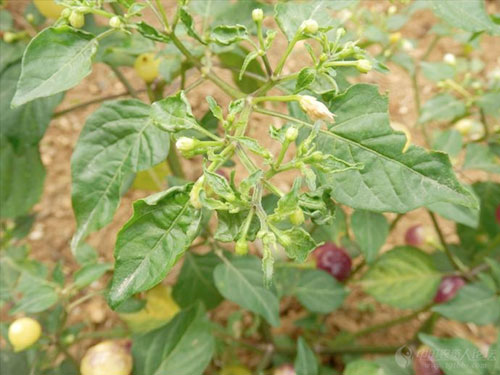 ��η����������~�����������~���ķ��δ�ʩ��