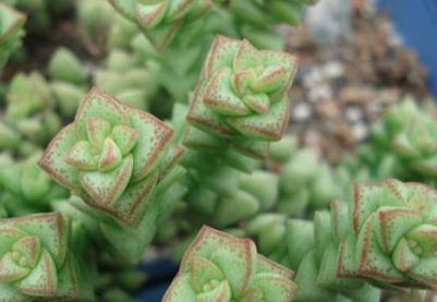 С������ô�B��