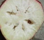 �}��������ʲôԭ��?q��)��µģ��}����������Щ���δ�ʩ��