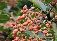 ��������ô�޽ӣ�������޽ӷ�����