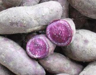 ������ηNֲ�������Nֲ������ע�����(xi��ng)��