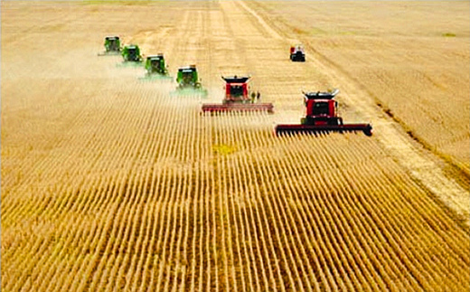 �󶹷Nֲ�����߮a(ch��n)����