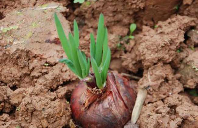 ���[�Nֲ��߮a,�Nֲ��������Ҫ�����[�Nֲ���gҪ�c