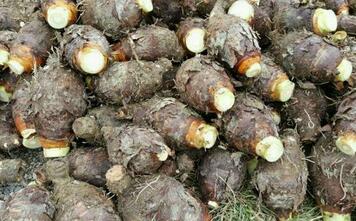 ����Д����^�Ƿ������