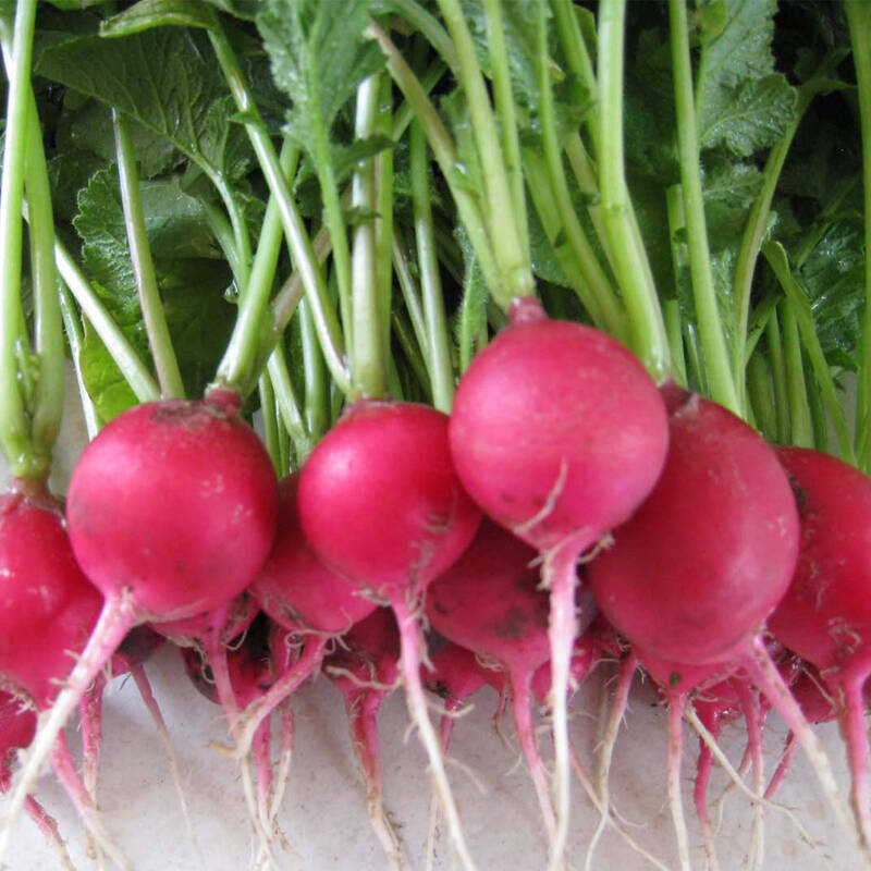 �����}��ʲô�r�g�Nֲ��