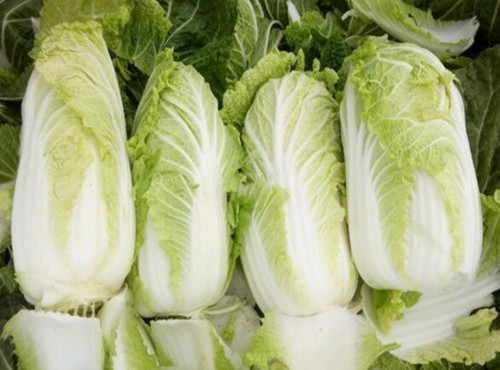 ���޲�ʲô�r�g�N�����޲˷Nֲ�r�g������