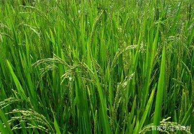 ˮ��Ҫ�߮a������ʩ�ʲź�����