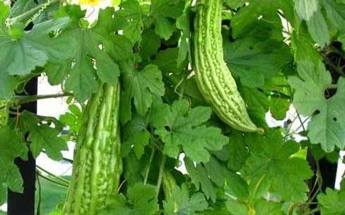 ���ӹ������g��ϣ����׫@�ø߮a��