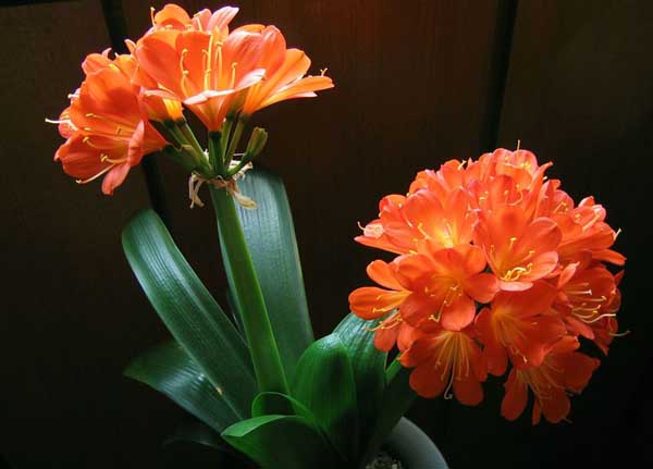 �����m����B�������m�����༼�g