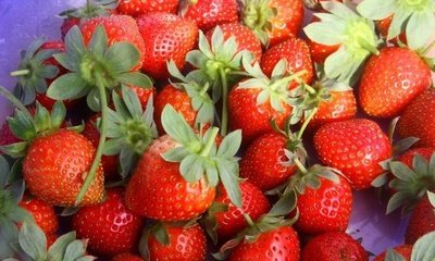 ��ݮ����ʩ�ʸ��߮a��