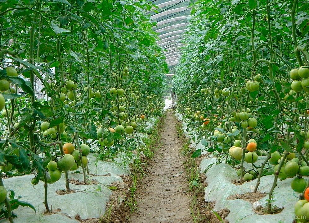 ���t����ɶ����ס����