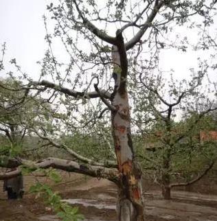 ��ҕ�@Щ���}�����K����