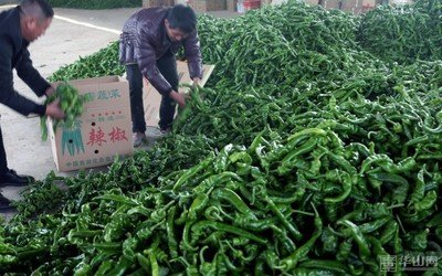 ����������ֲ����Ҫ�߮a���@�ׂ����E��һ��Ҫ�W����