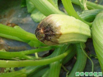 17�N�����J���x������֪�����Ў׷N��