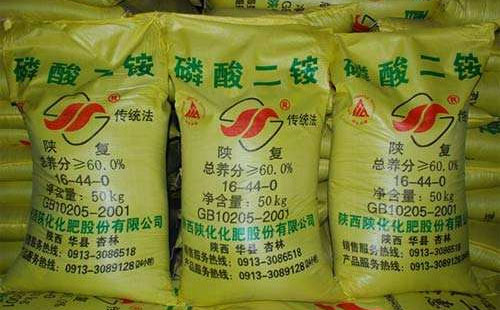 ���@�Ј��M�뽩���A�Σ��AӋ���ڃȕ����m���ַՇ�