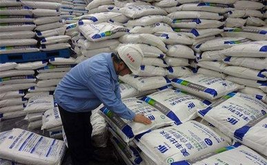 ���궬�����c���䡱