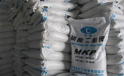 2017��������@�Ј����Y��2018����@�r�������A�y