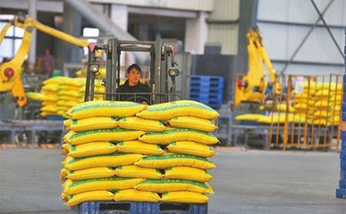 �ͺϷʃr����u�����o�����������g���s�����N�̂�؛���˳��