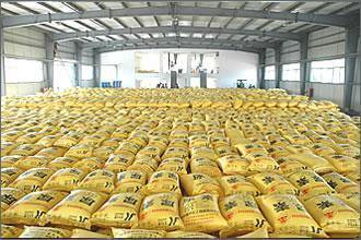 ɽ�|�M�h�������r�Y�r���λڅ�� ���ʃr���ѝq�����