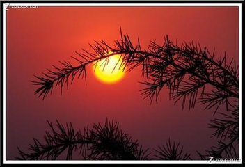 ��ǰ�Ј����o���ġ�,��ʲô�����˴����Ј����ӵ��_����