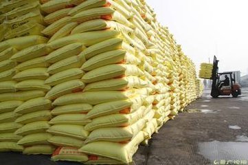 �Ј���ů���ʃr�ϓP�������Ј����п��^��