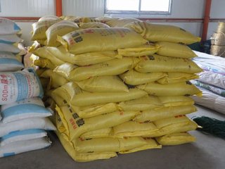 ���������𡡶��@�q����