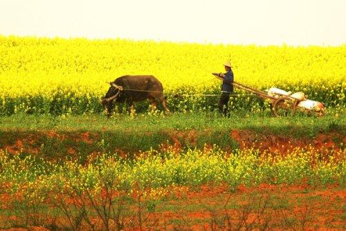 ������ʷ�����ã����ء��Z�ݡ����������Σ�