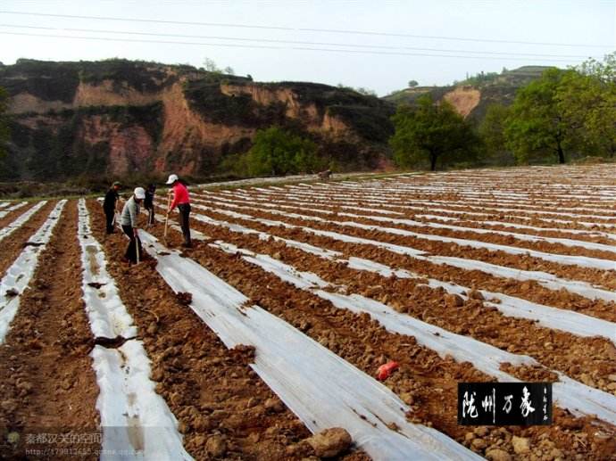 �������ʃr(ji��)������A(y��)�ڣ����Е�(hu��)��ô�ߣ�