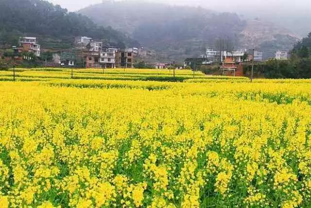 ������K�����𴺸����|(zh��)���d�r(n��ng)�����ÑB(t��i)��(sh��)��