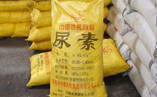 ���؏S��ͦ�r�����N�́y�˷���