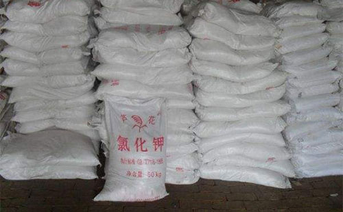 ����(ch��)��¶�^�ǽ�(j��ng)�N�̂���ُ��֔(j��n)�� �����輰�r(sh��)�����P(gu��n)ע