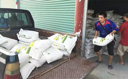 ����һ�@�Ј��嵭�γɽ���̫���� 8�·݃r�����С������